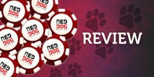 Red Dog Casino Review 2023